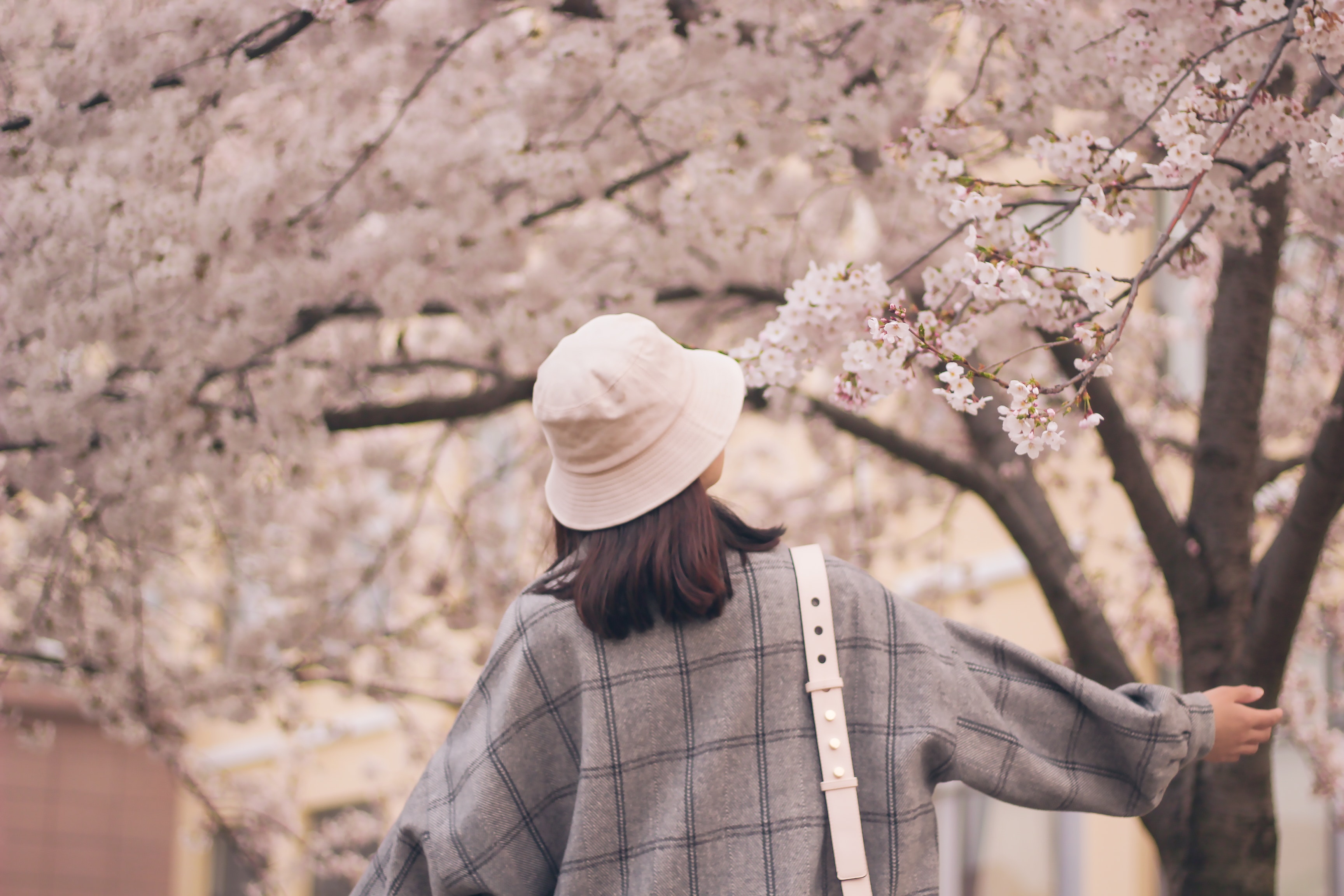 image of someone surrounded by spring blossoms